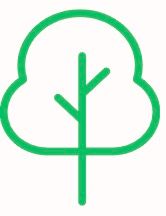 arbre.jpeg
