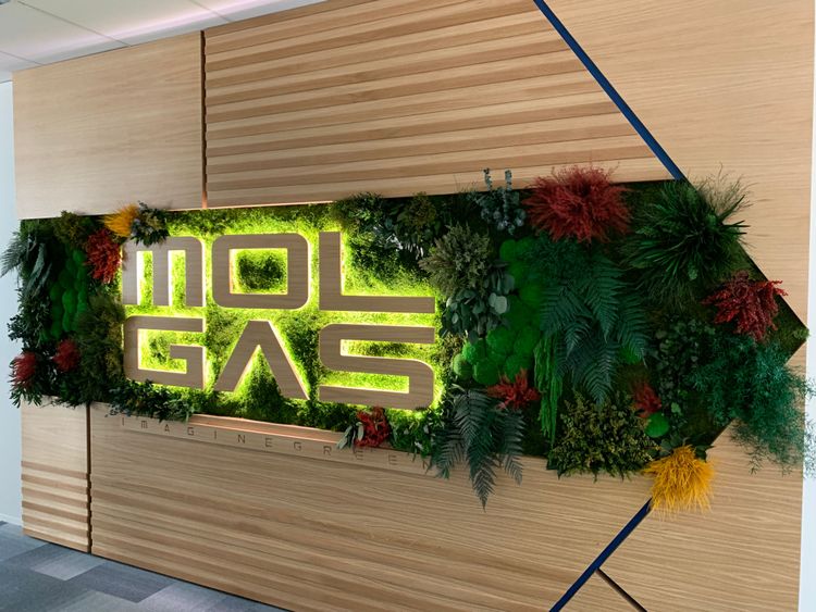 Professionnel | SIEGE SOCIAL MOLGAS