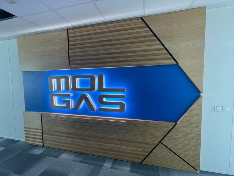 Professionnel | MOLGAS