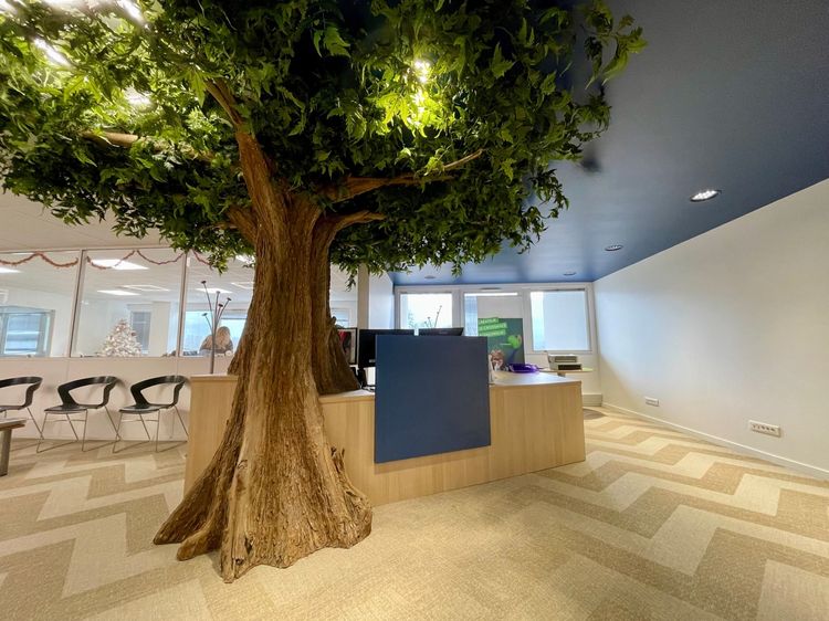 Professionnel | BUREAUX & SIEGE SOCIAL